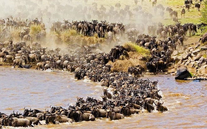 6 DAYS - SERENGETI MIGRATION SAFARI