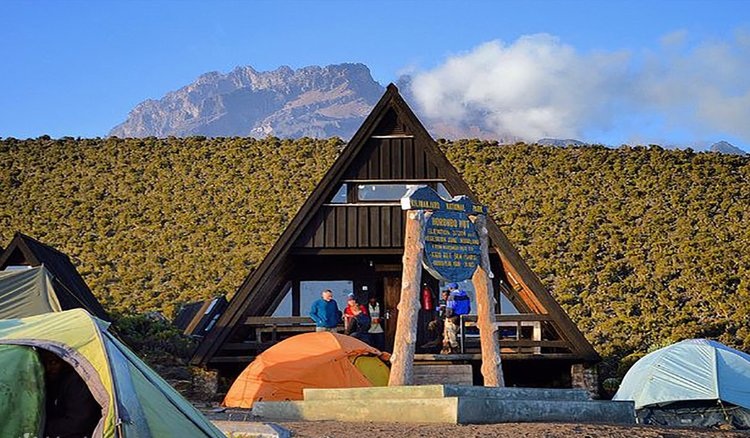 5 Days Marangu Route Kilimanjaro Trek