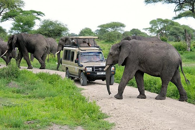 TANZANIA WILDLIFE SAFARIS TOUR